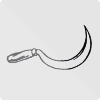 Nepal Communist Party (Sainyukta)