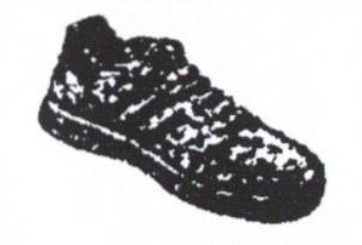 Nepal Janasewa Party